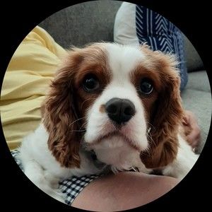 Meet your Posher, Gail